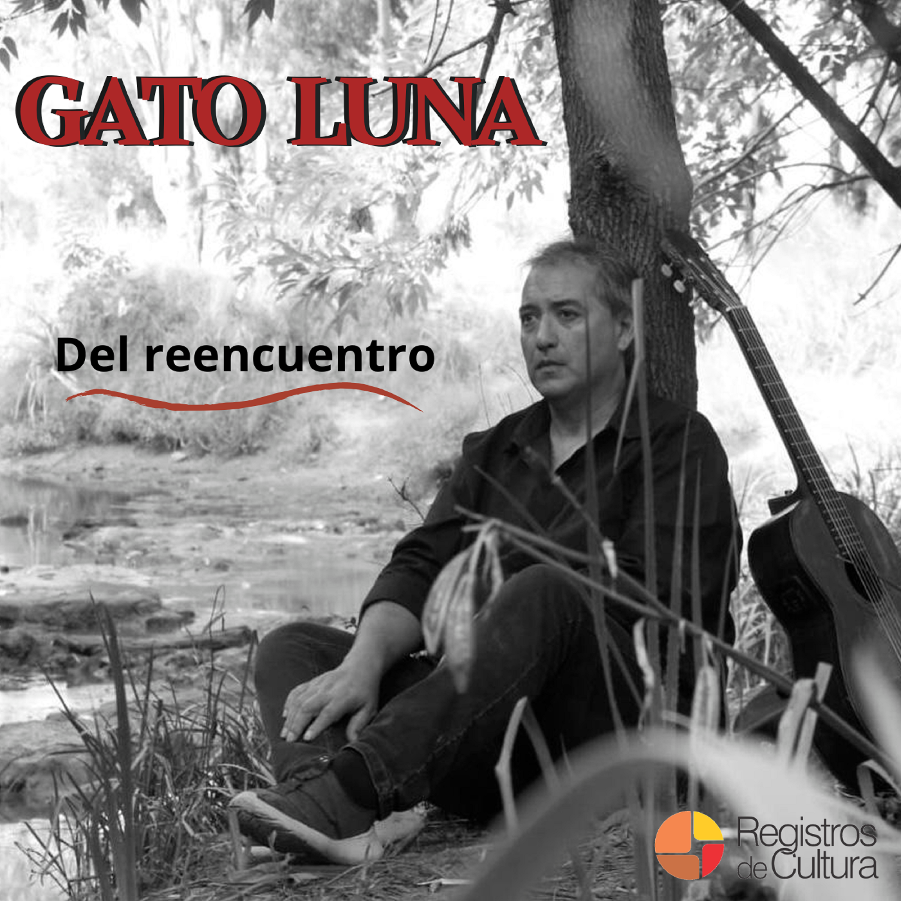 Tapa de Gato Luna — El reencuentro