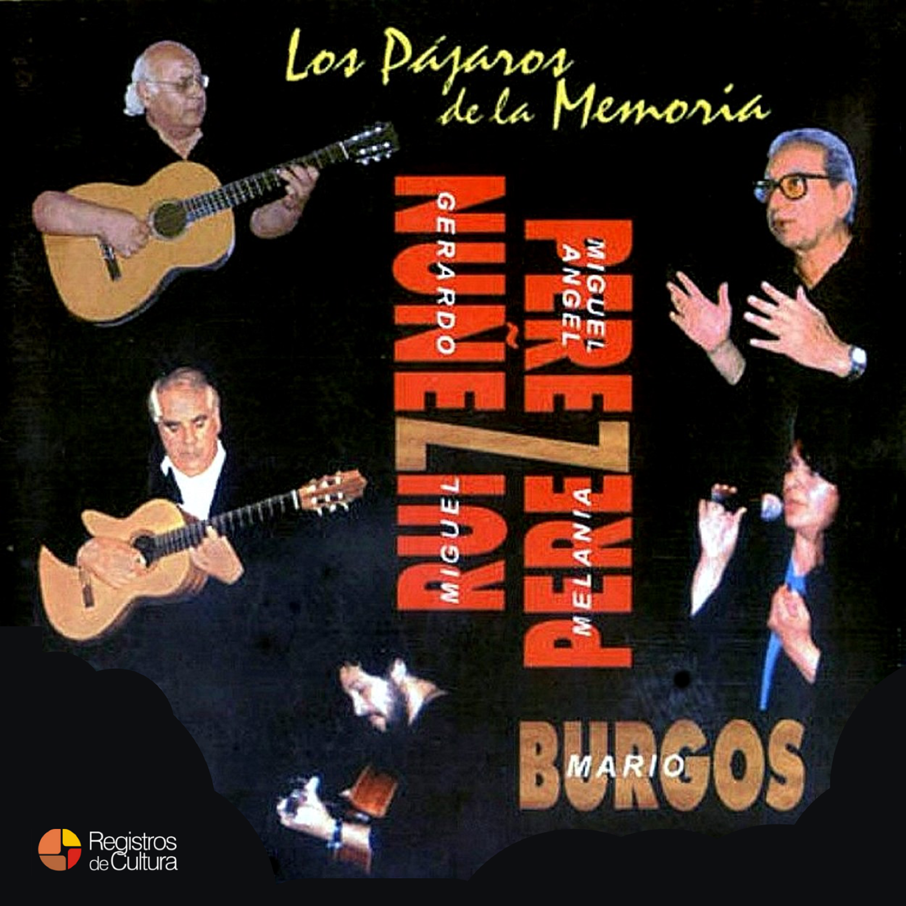 Tapa de Gerardo Nuñez/ Migel Angel Pérez/ Melania Pérez — Los pajaros de la memoria